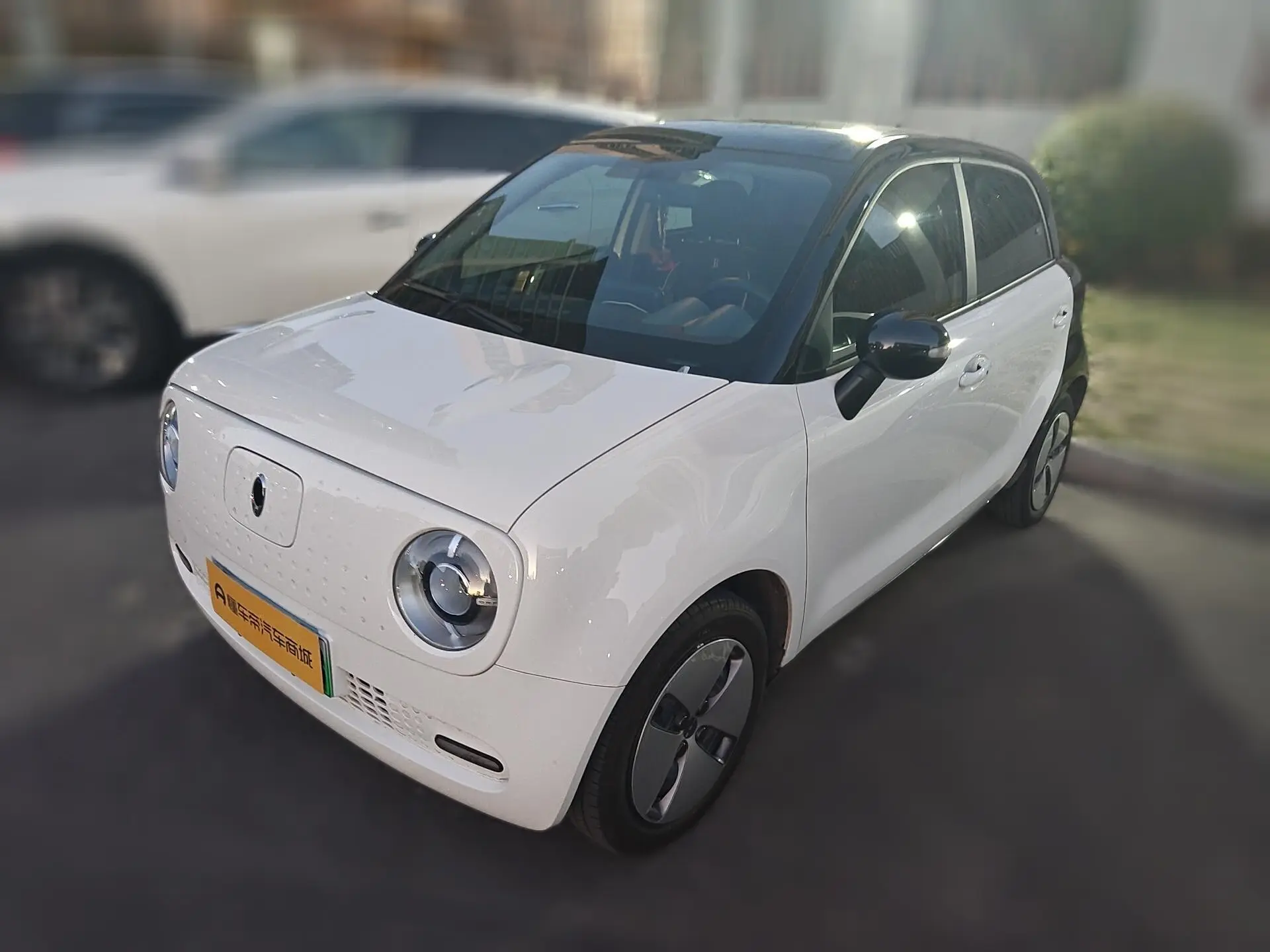 ORA Euler black cat  из Китая