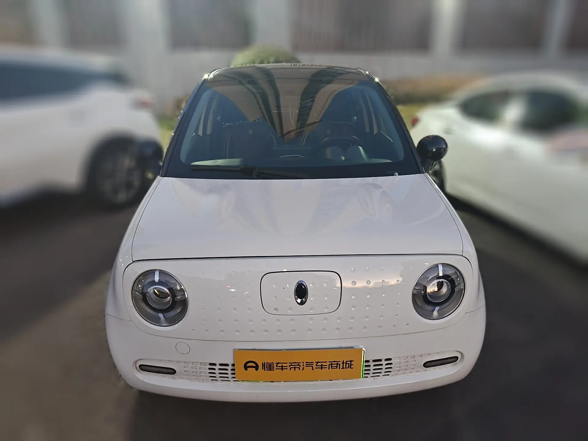 ORA Euler black cat  из Китая