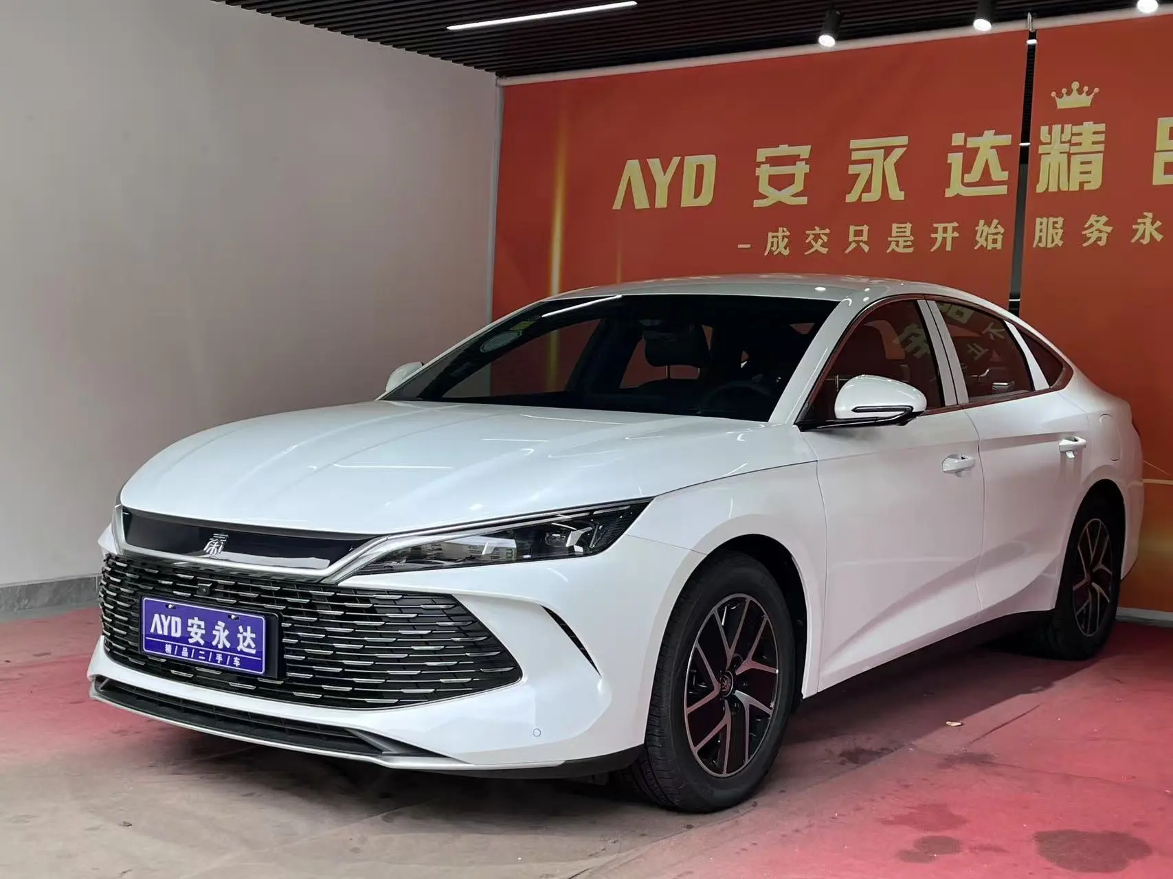 BYD Qin L DM  из Китая