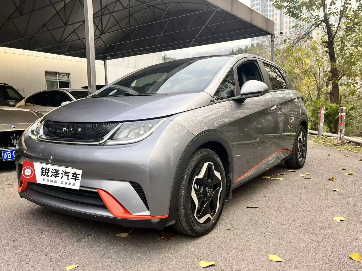 BYD Dolphin  из Китая