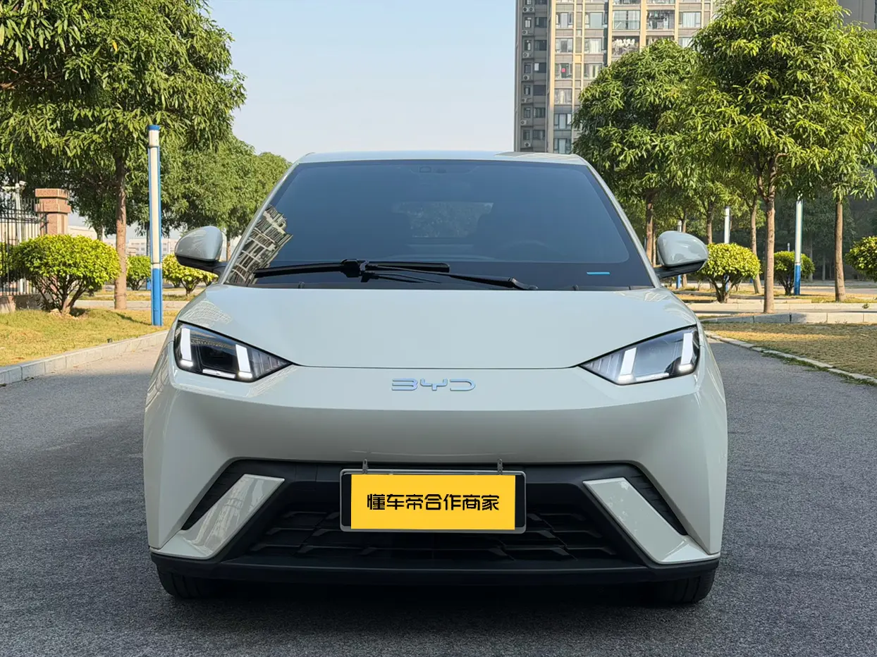 BYD Seagull  из Китая