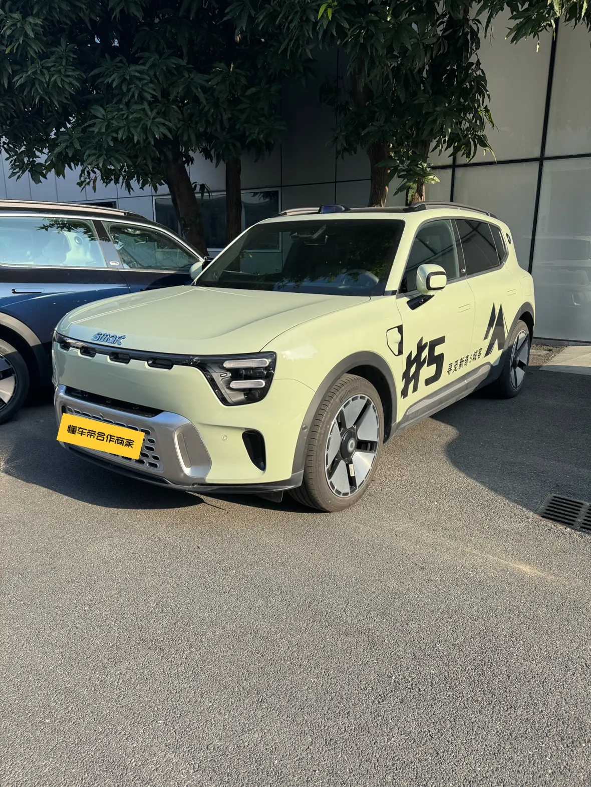 Smart Elf #5  из Китая