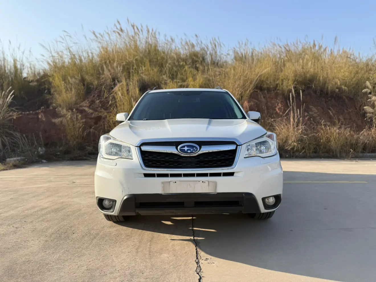 Subaru Forester  из Китая