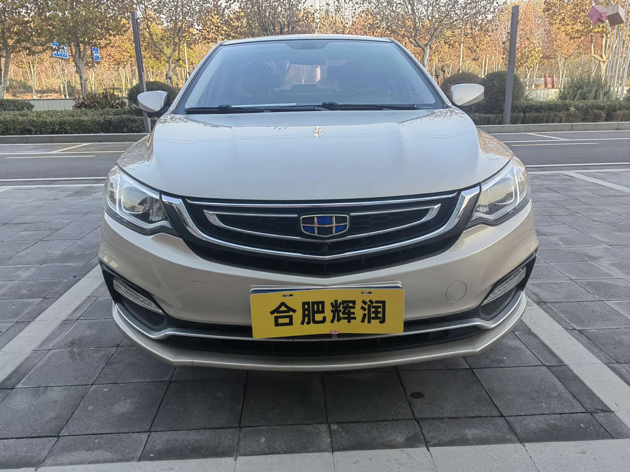 Geely Vision  из Китая