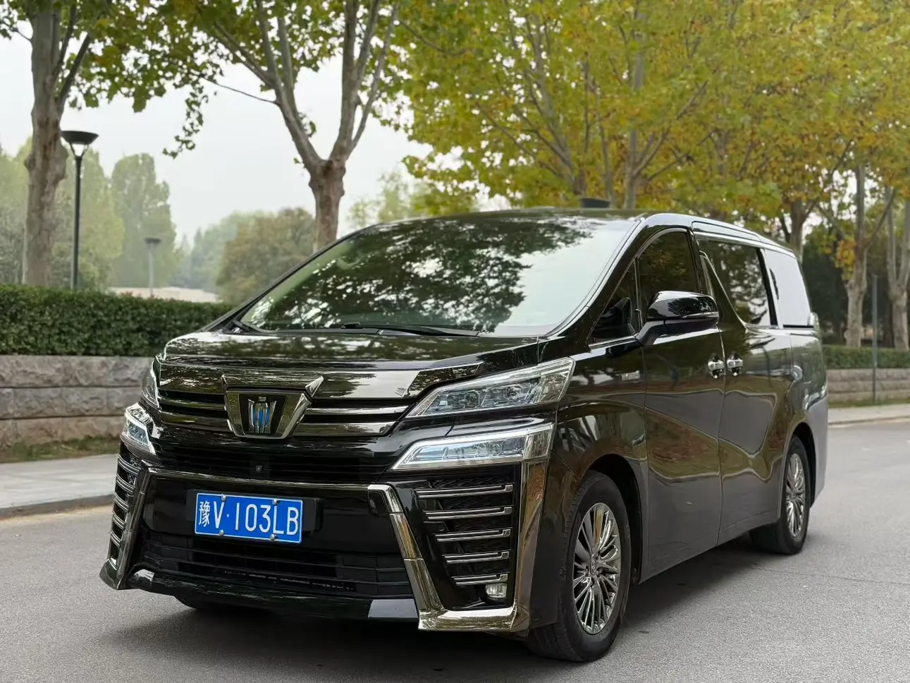 Toyota Crown Wellfire (Wilfa)  из Китая