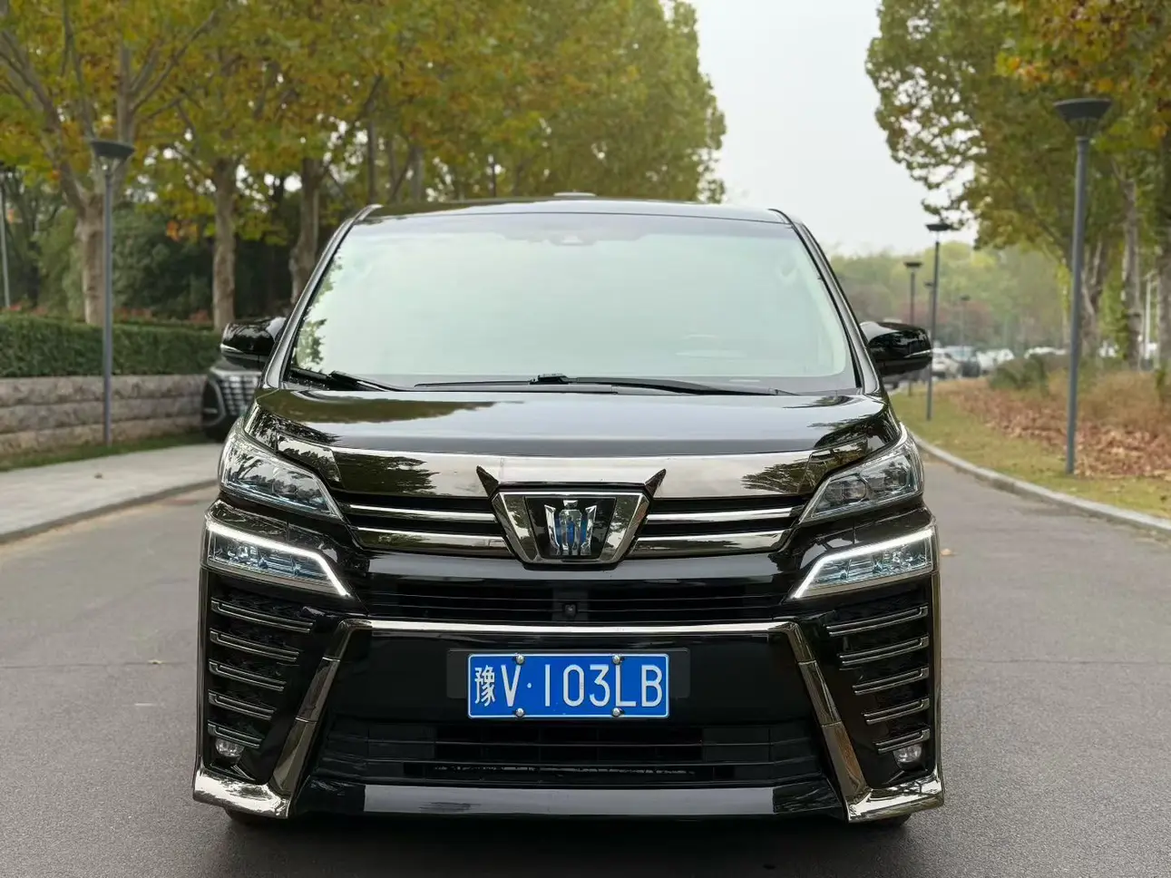 Toyota Crown Wellfire (Wilfa)  из Китая