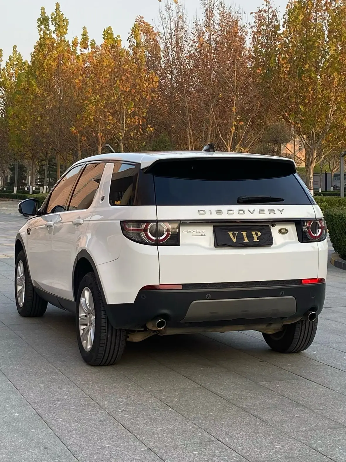 Land Rover Discover the magic  из Китая