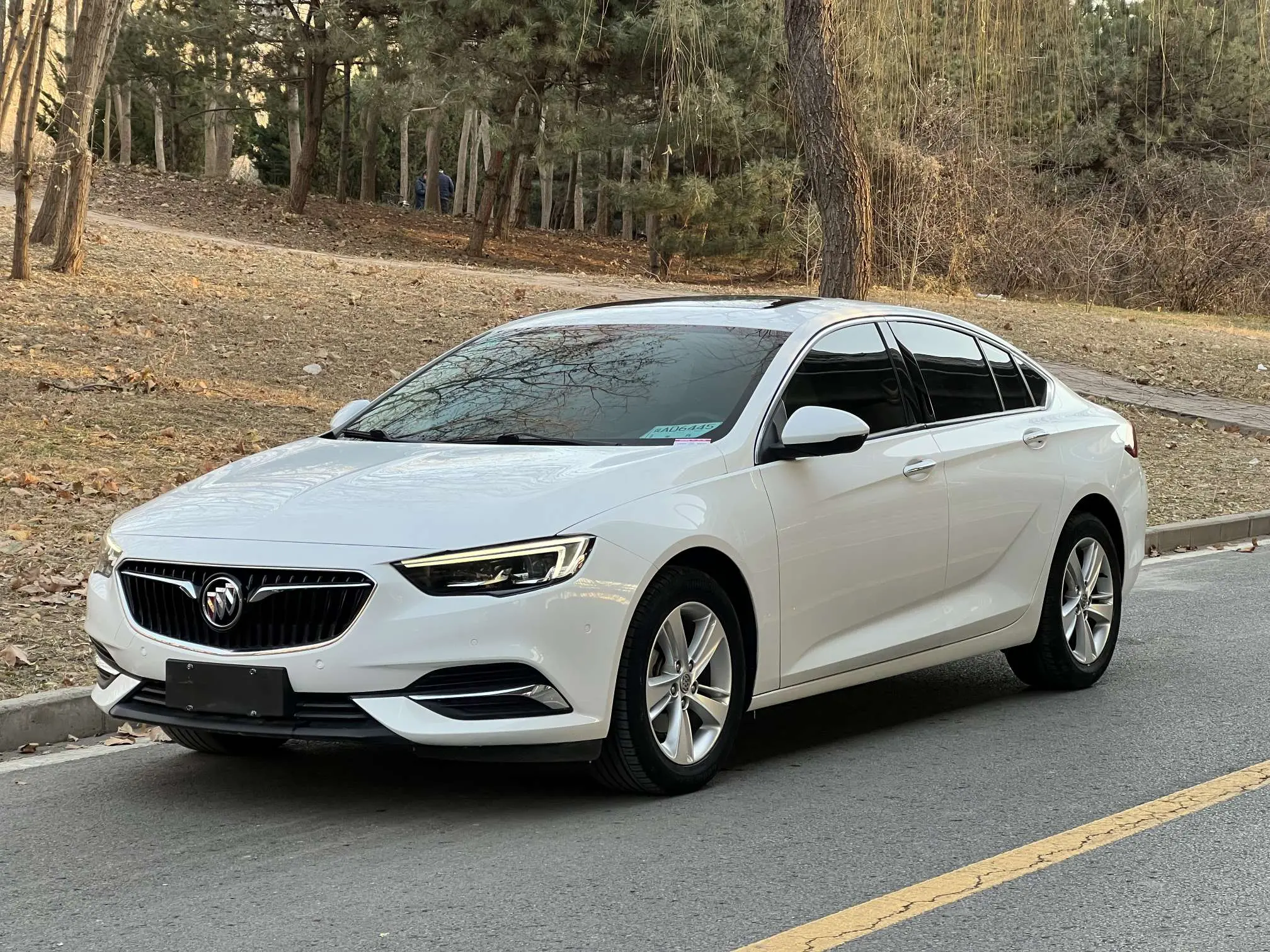 Buick Majesty