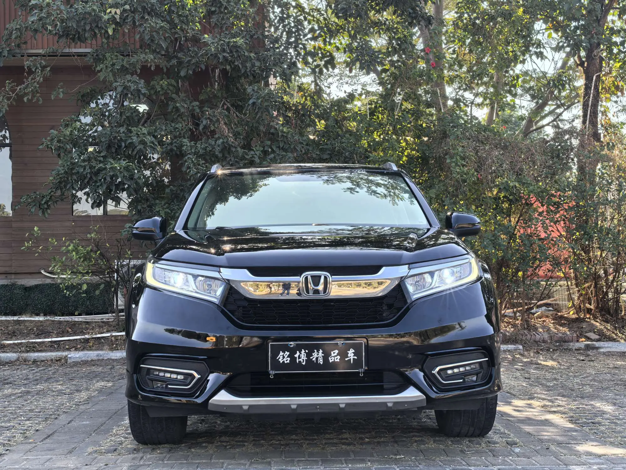 Honda Avancier (Crown Road)  из Китая