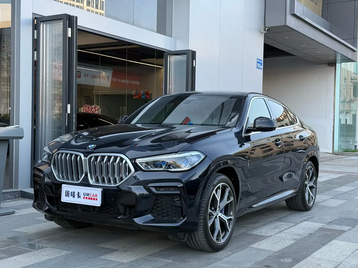 BMW X6