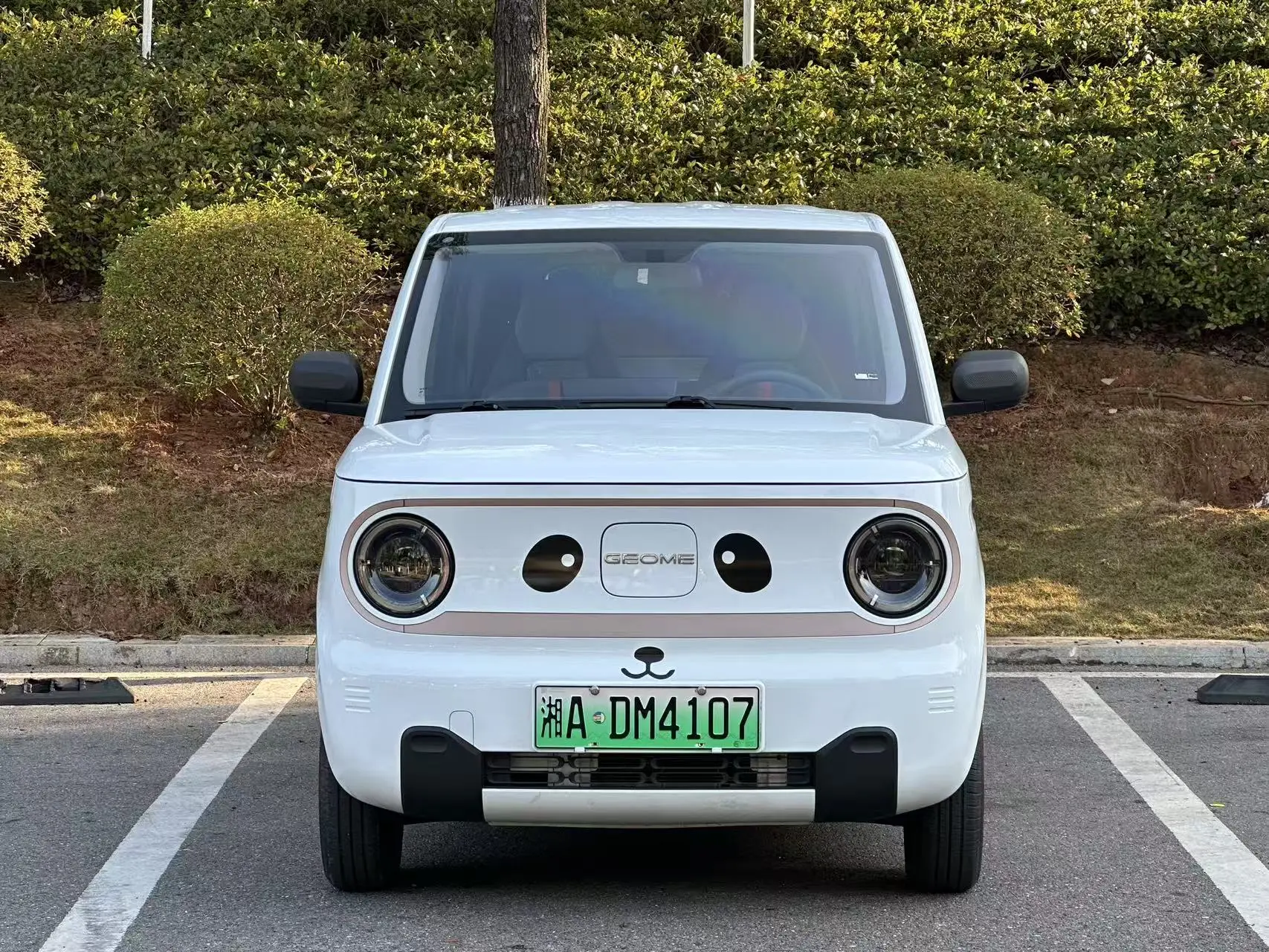 Geely Panda  из Китая