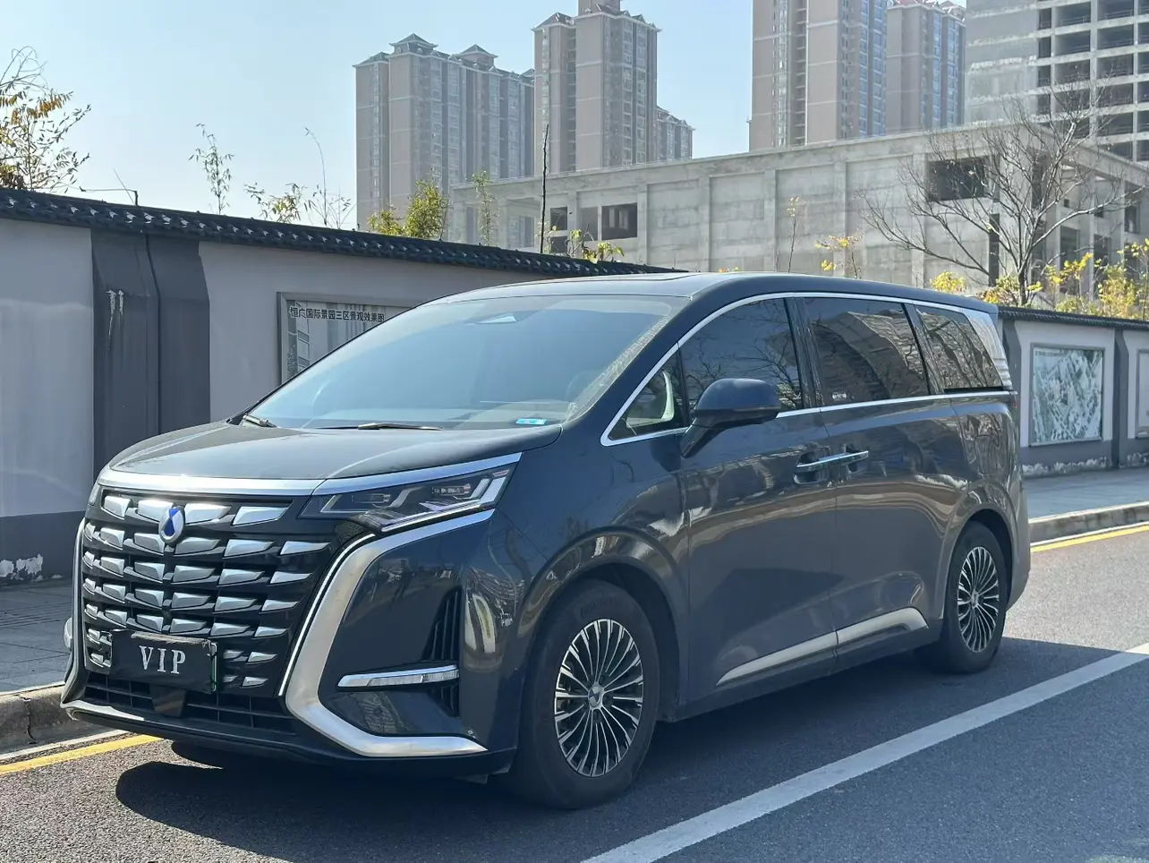 Denza D9 DM  из Китая