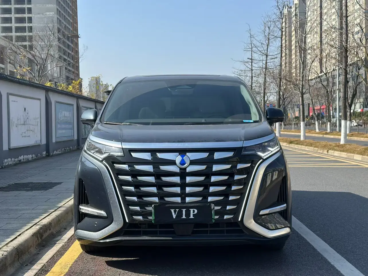 Denza D9 DM  из Китая