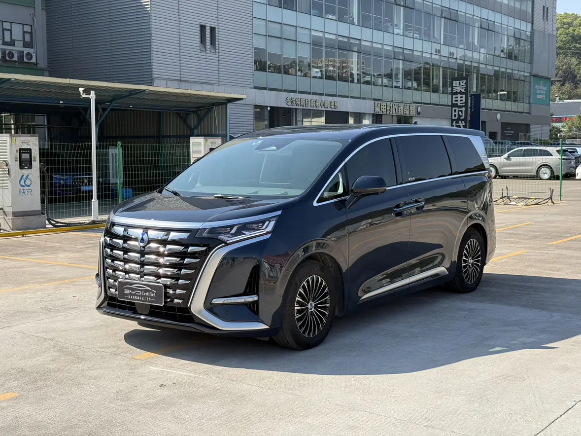 Denza D9 DM  из Китая