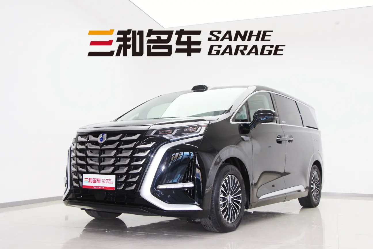 Denza D9 DM  из Китая