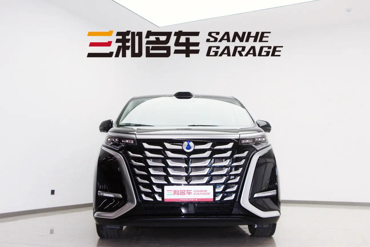 Denza D9 DM  из Китая