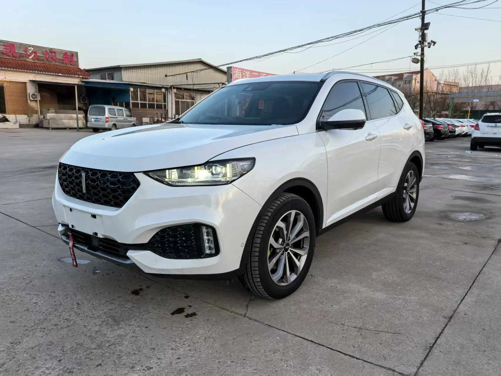 Wey Wei brand VV6  из Китая