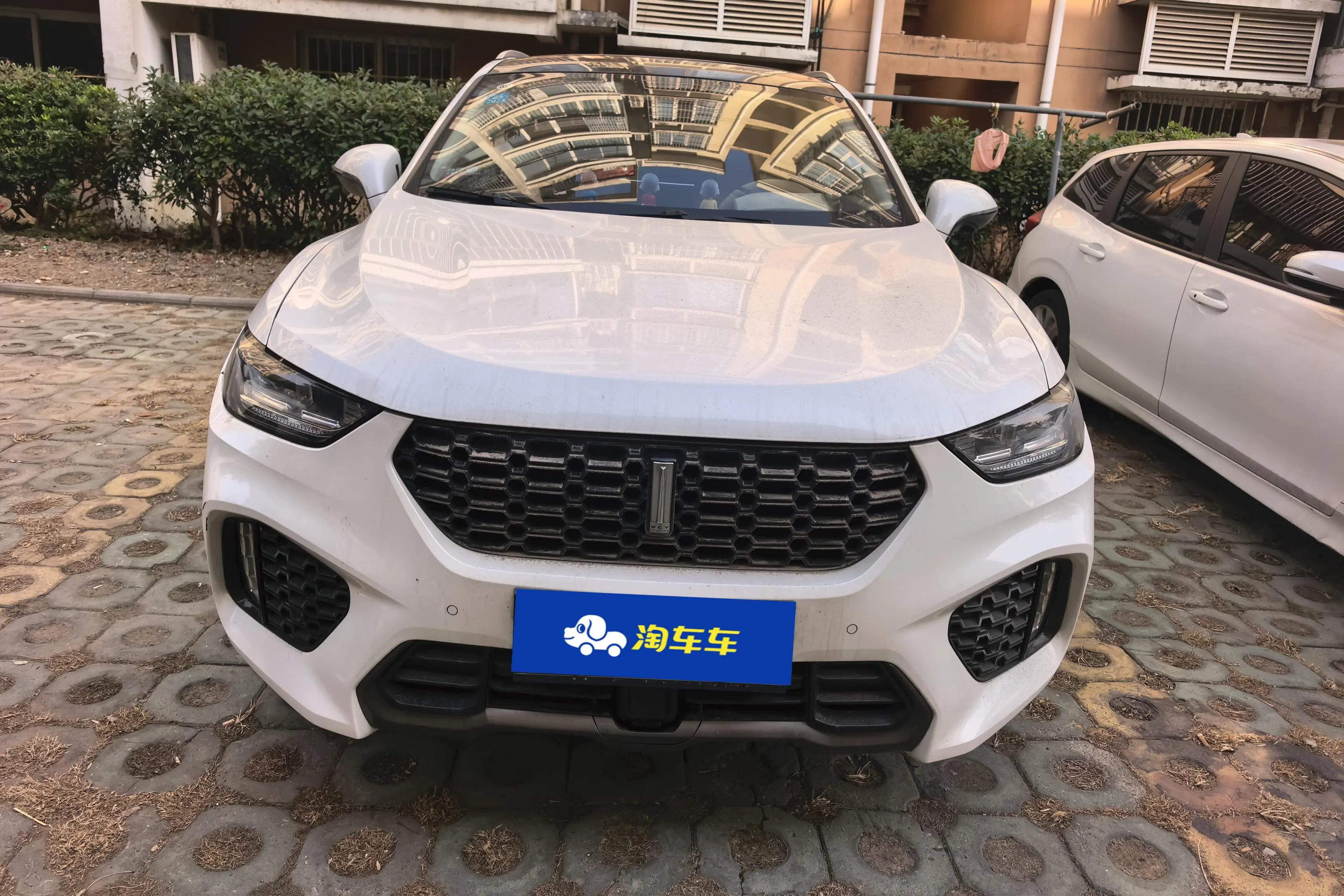 Wey Wei brand VV5  из Китая