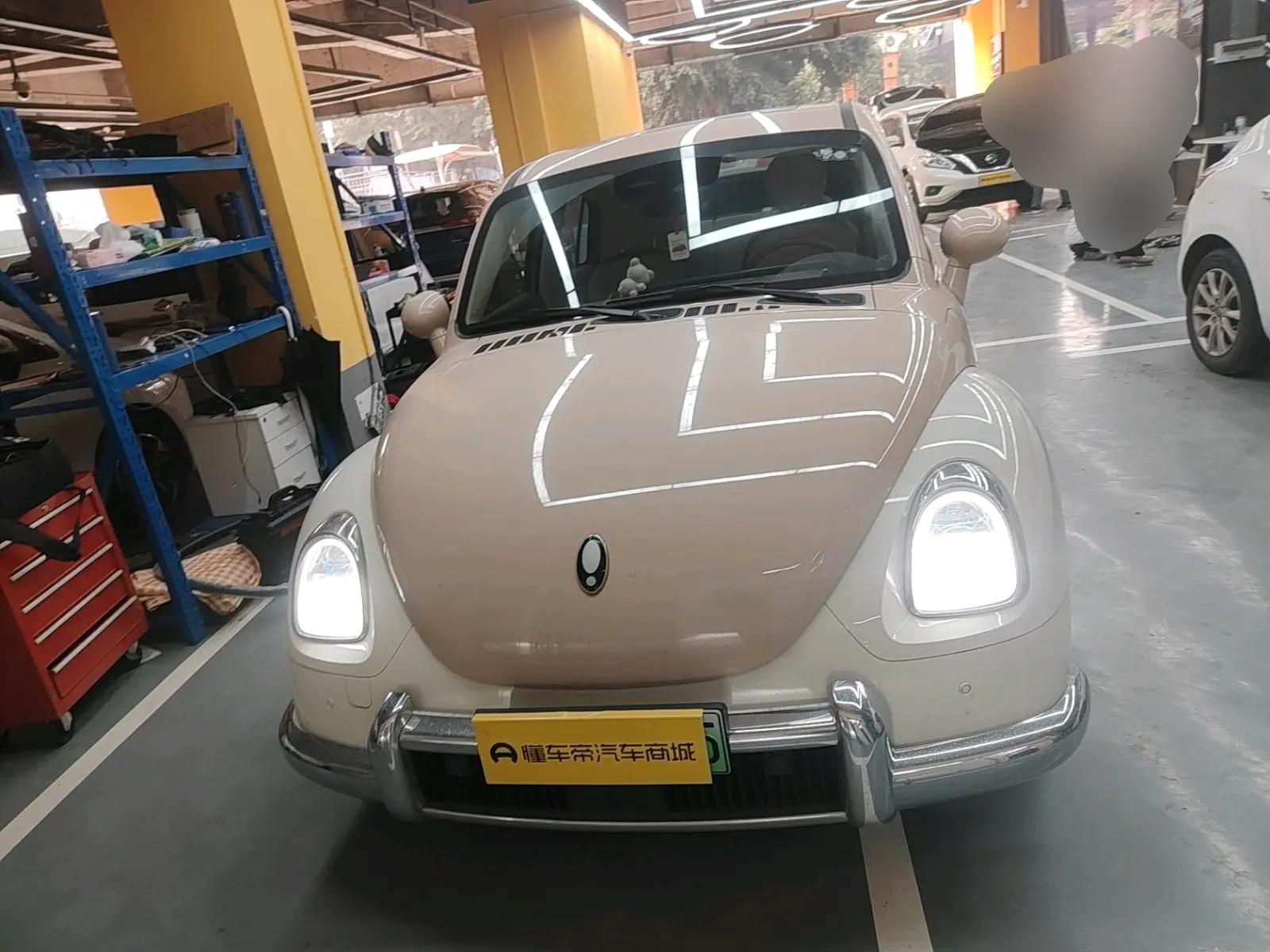 ORA Euler ballet cat  из Китая