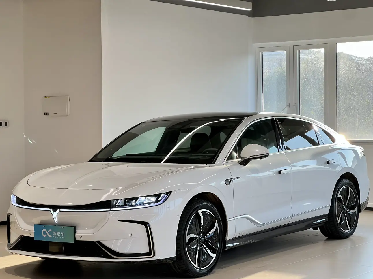 Voyah Passion EV  из Китая