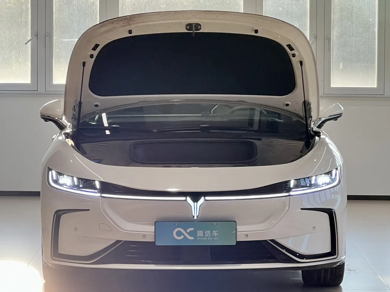 Voyah Passion EV  из Китая