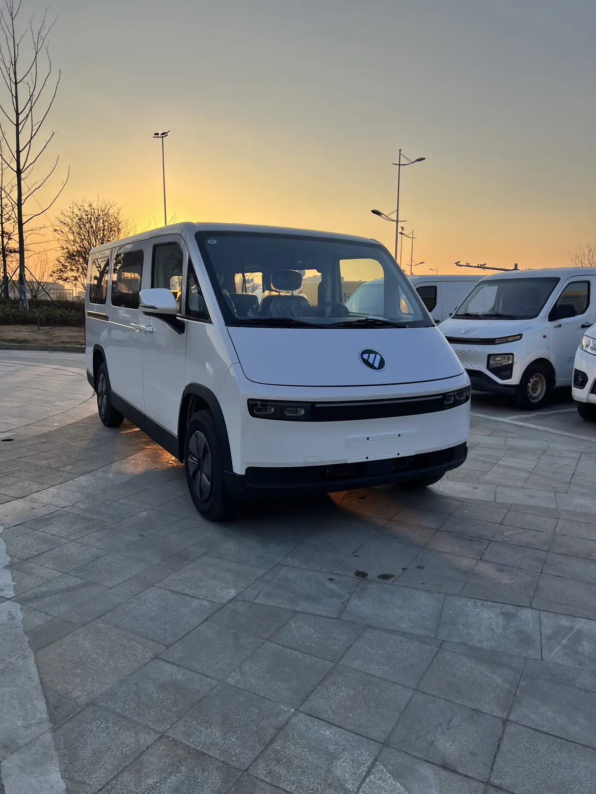 Foton Landscape  из Китая