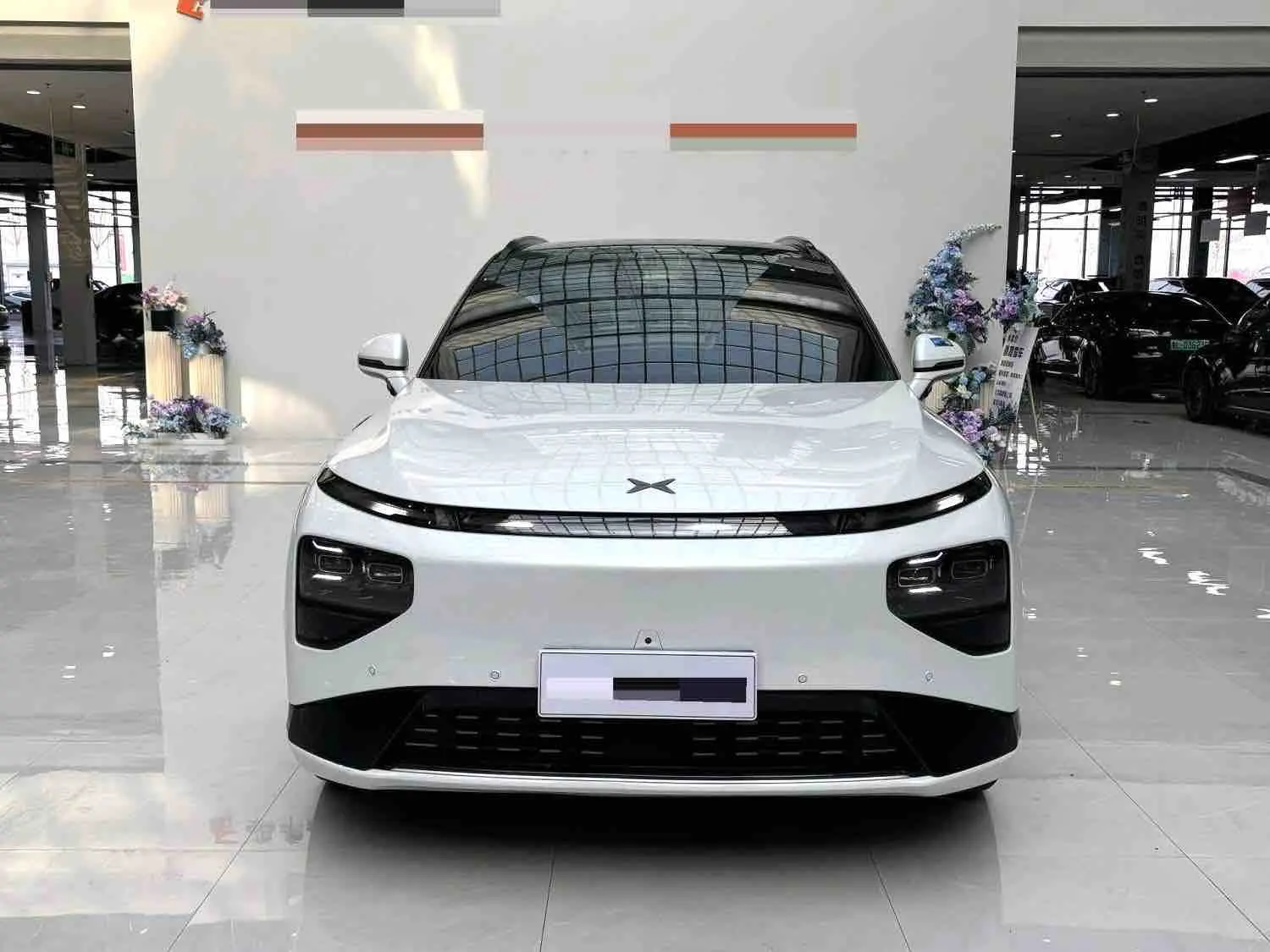 Xpeng G9  из Китая