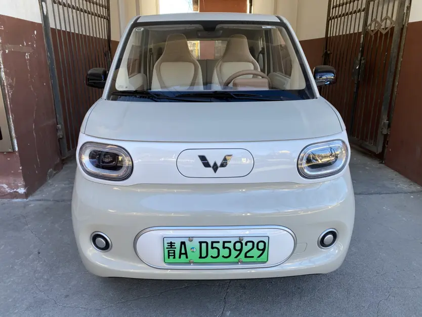 Wuling Hongguang MINIEV  из Китая