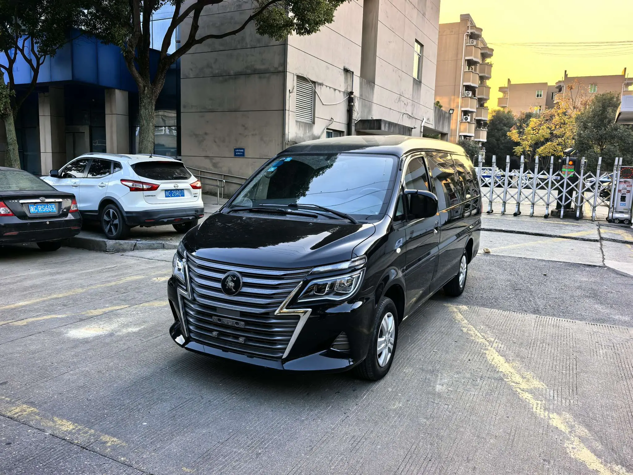 Forthing Lingzhi  из Китая