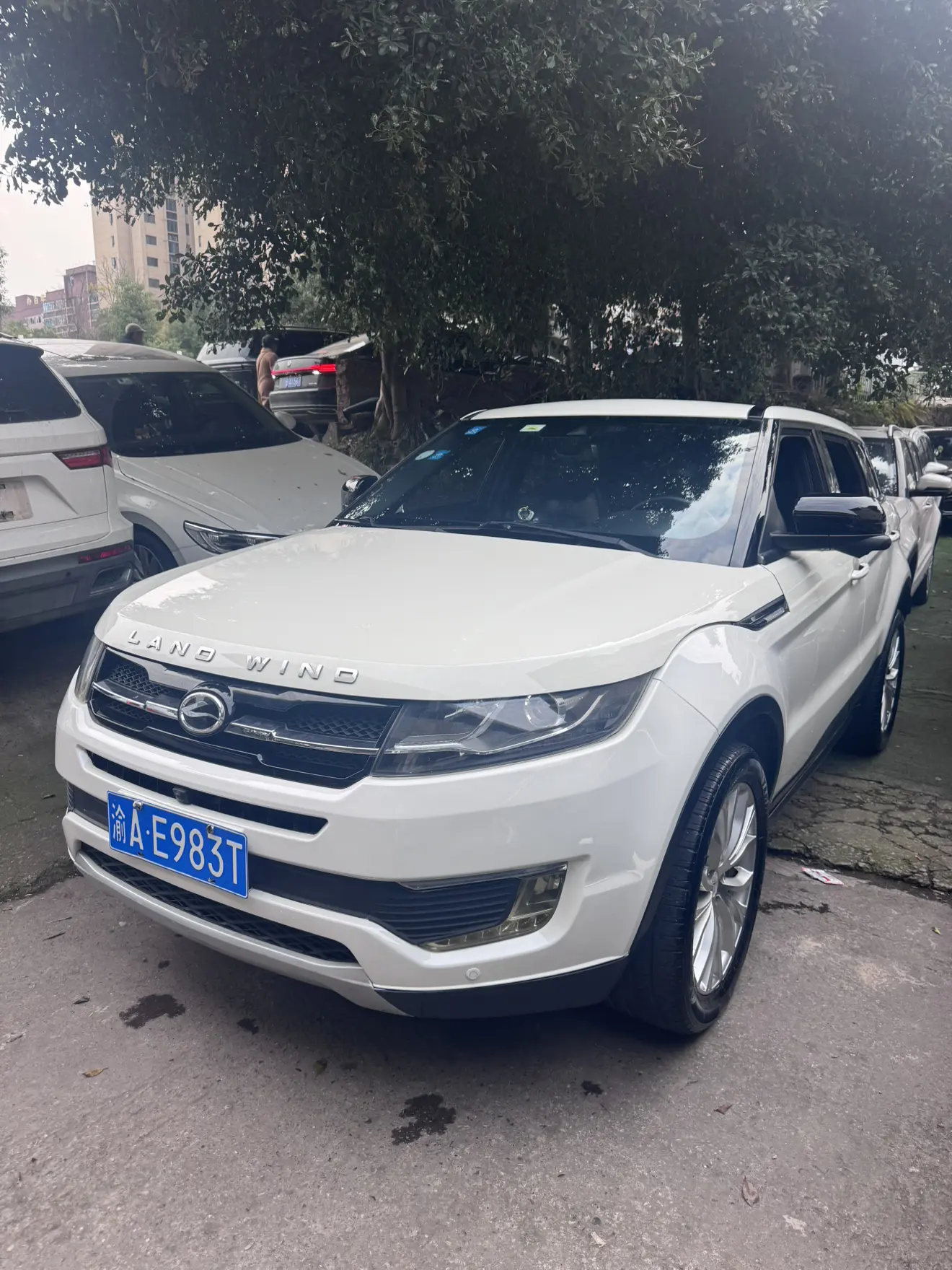 Lu Feng Landwind X7  из Китая