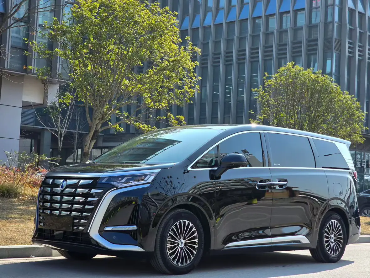 Denza D9 DM  из Китая