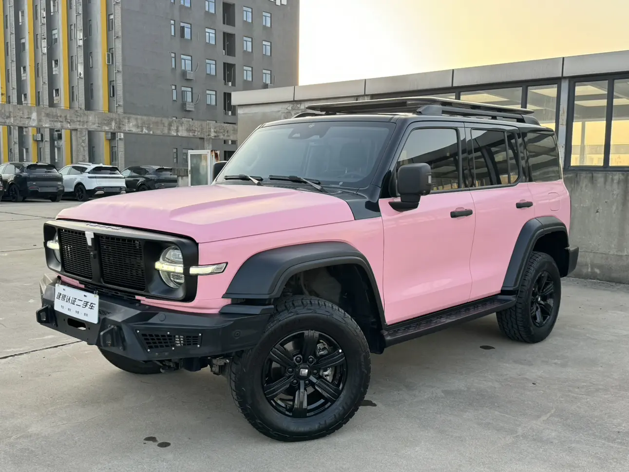 Tank 300  из Китая