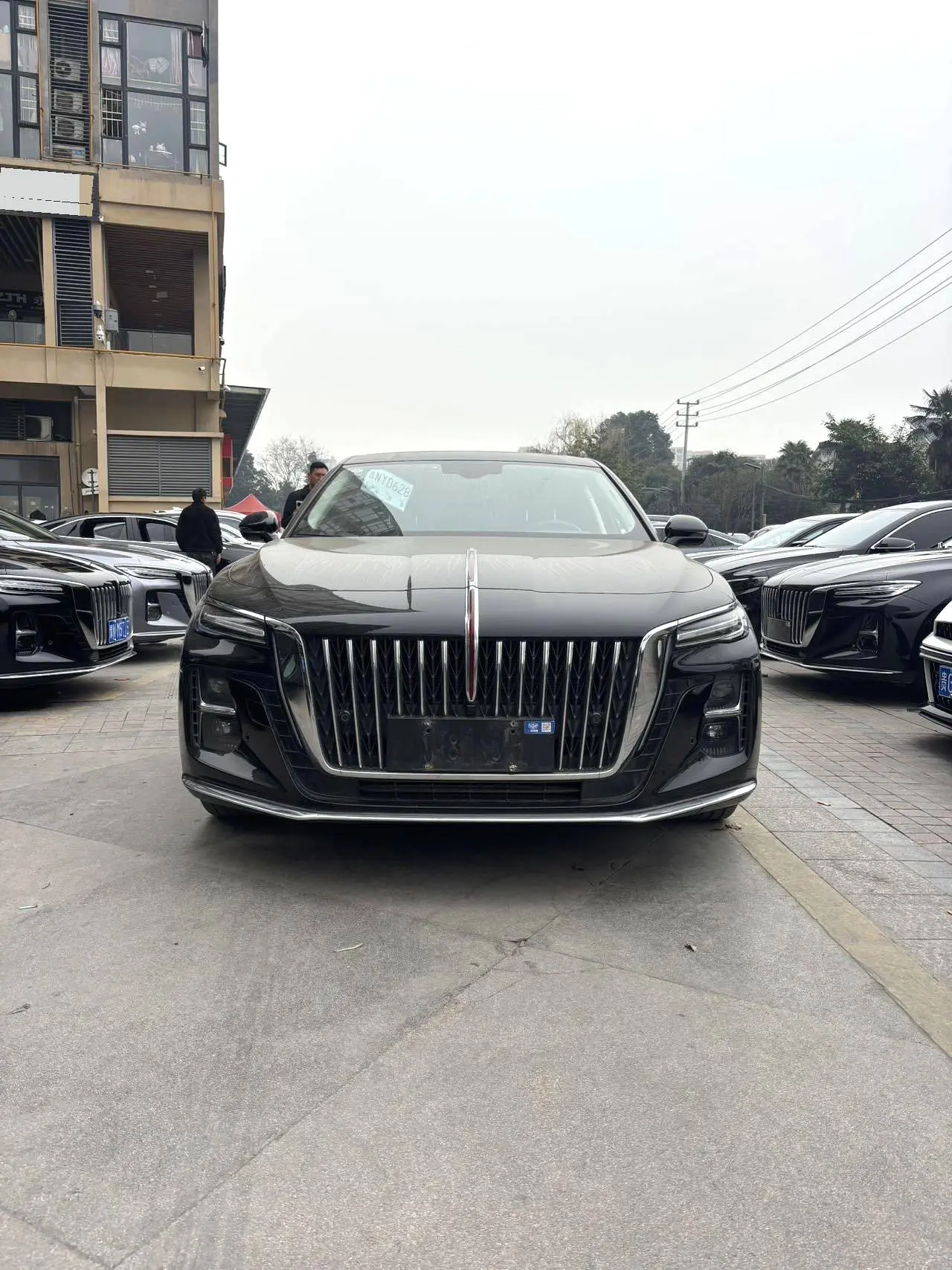 Hongqi H5  из Китая
