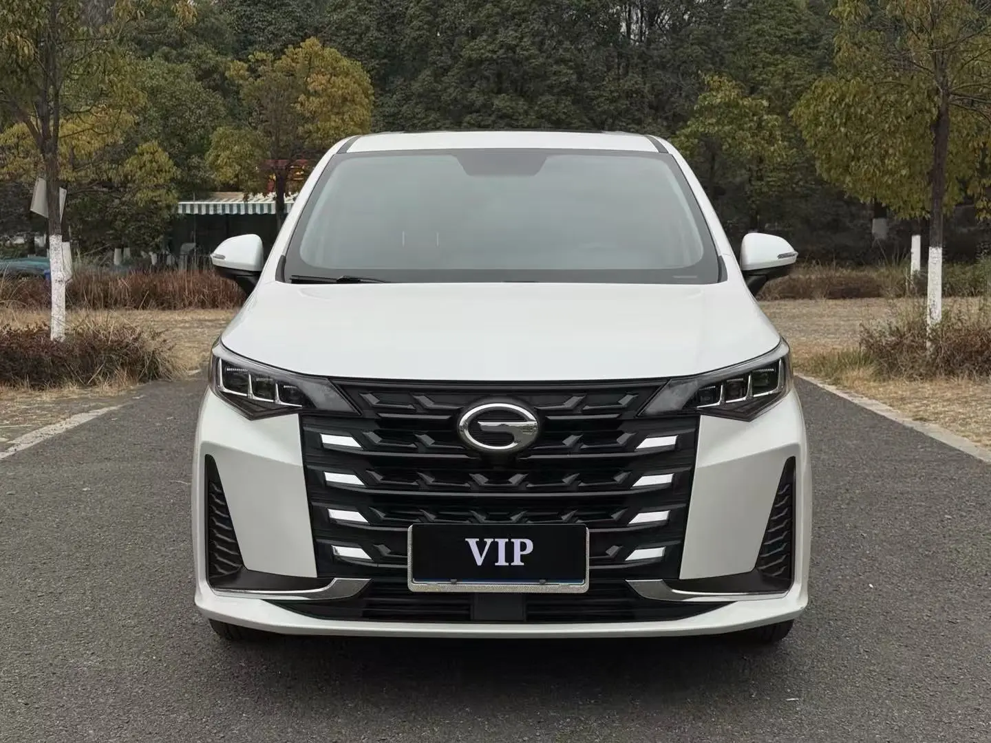 GAC Trumpchi M6  из Китая