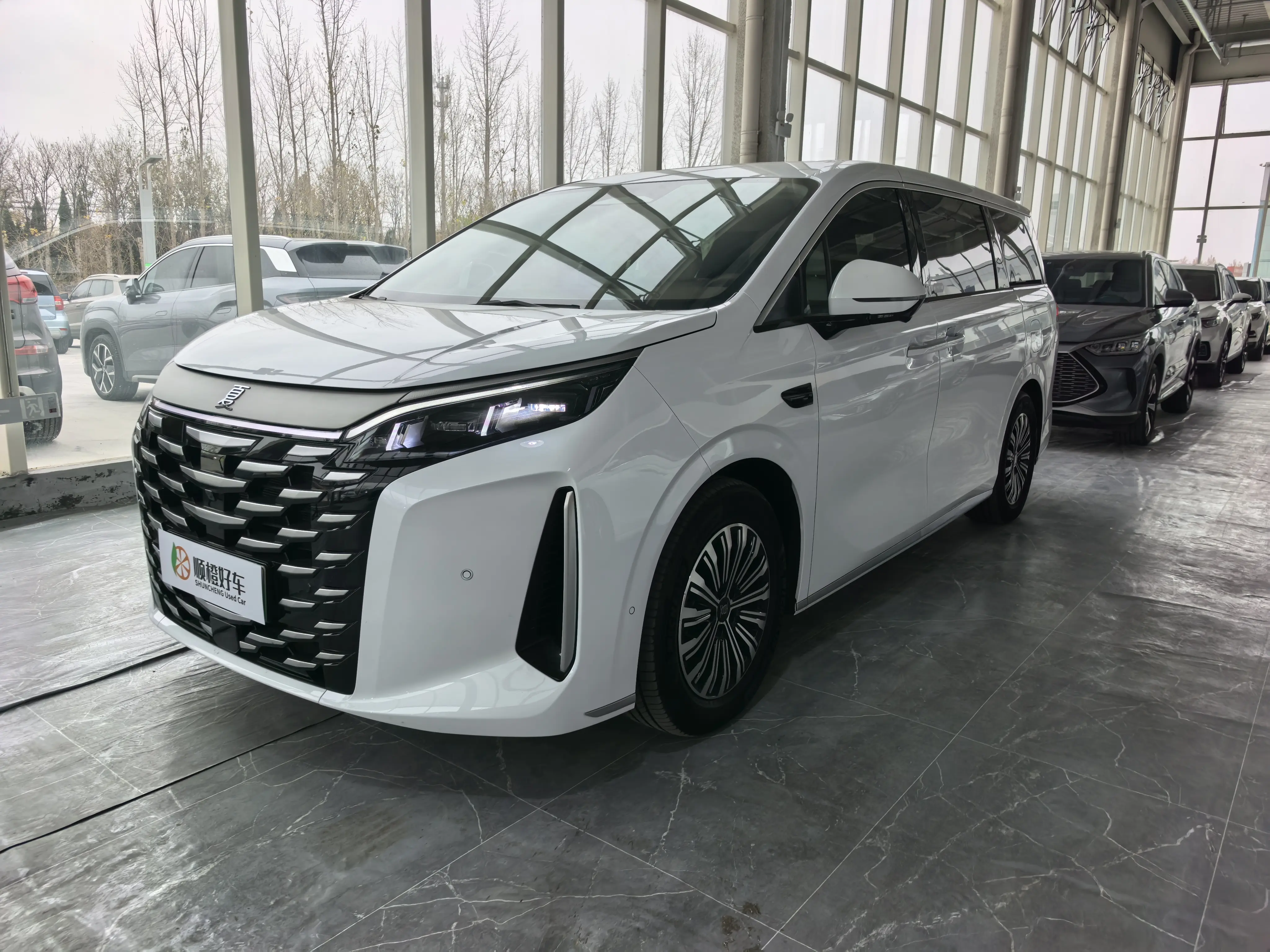 BYD Summer  из Китая