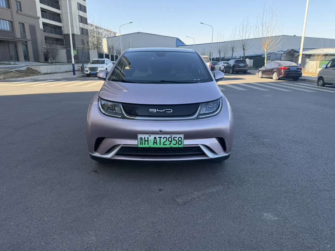 BYD Dolphin  из Китая