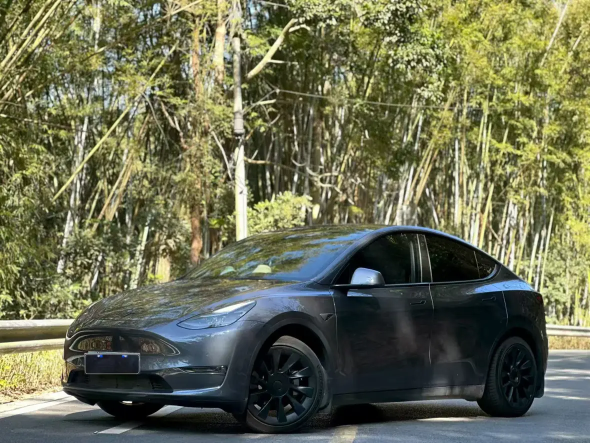Tesla Model Y  из Китая