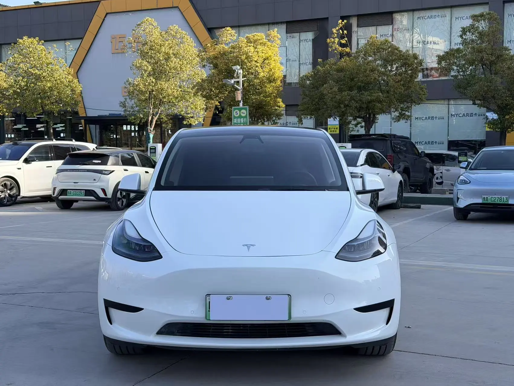 Tesla Model Y  из Китая