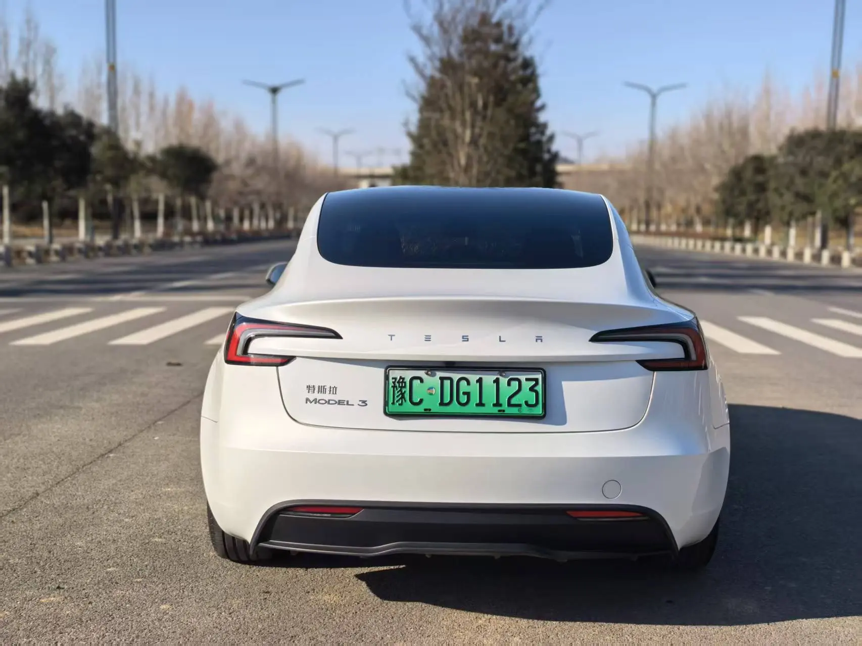 Tesla Model 3  из Китая