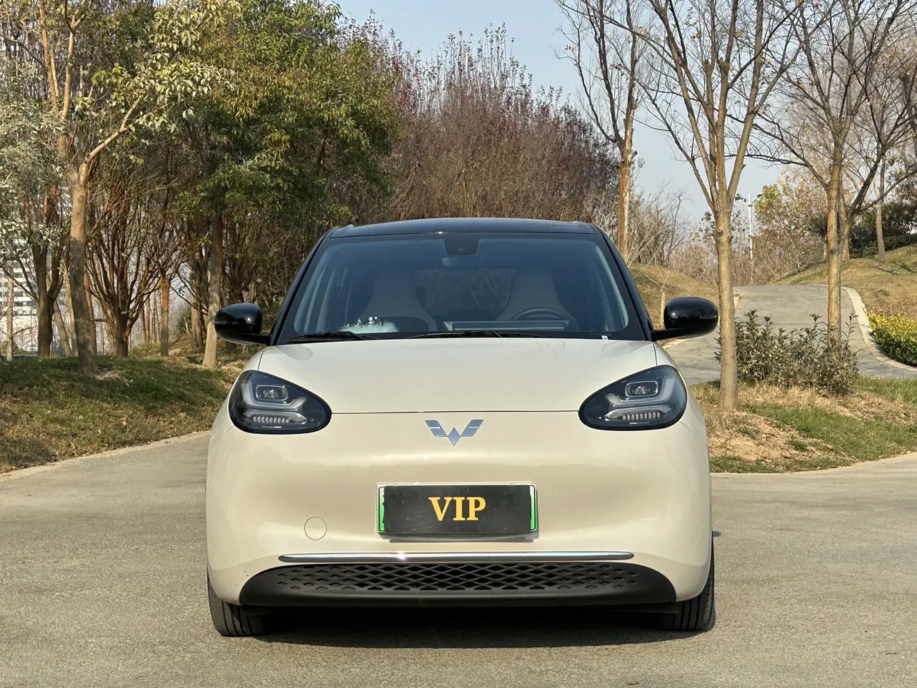 Wuling Bingo  из Китая