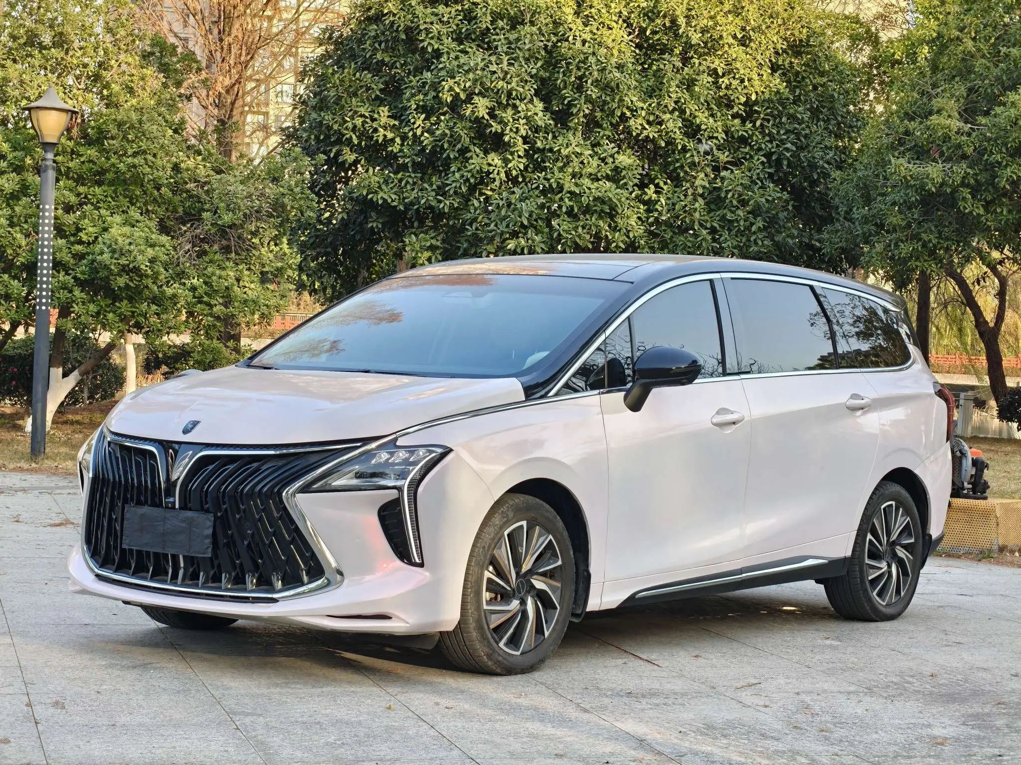 Forthing Popular yacht  из Китая