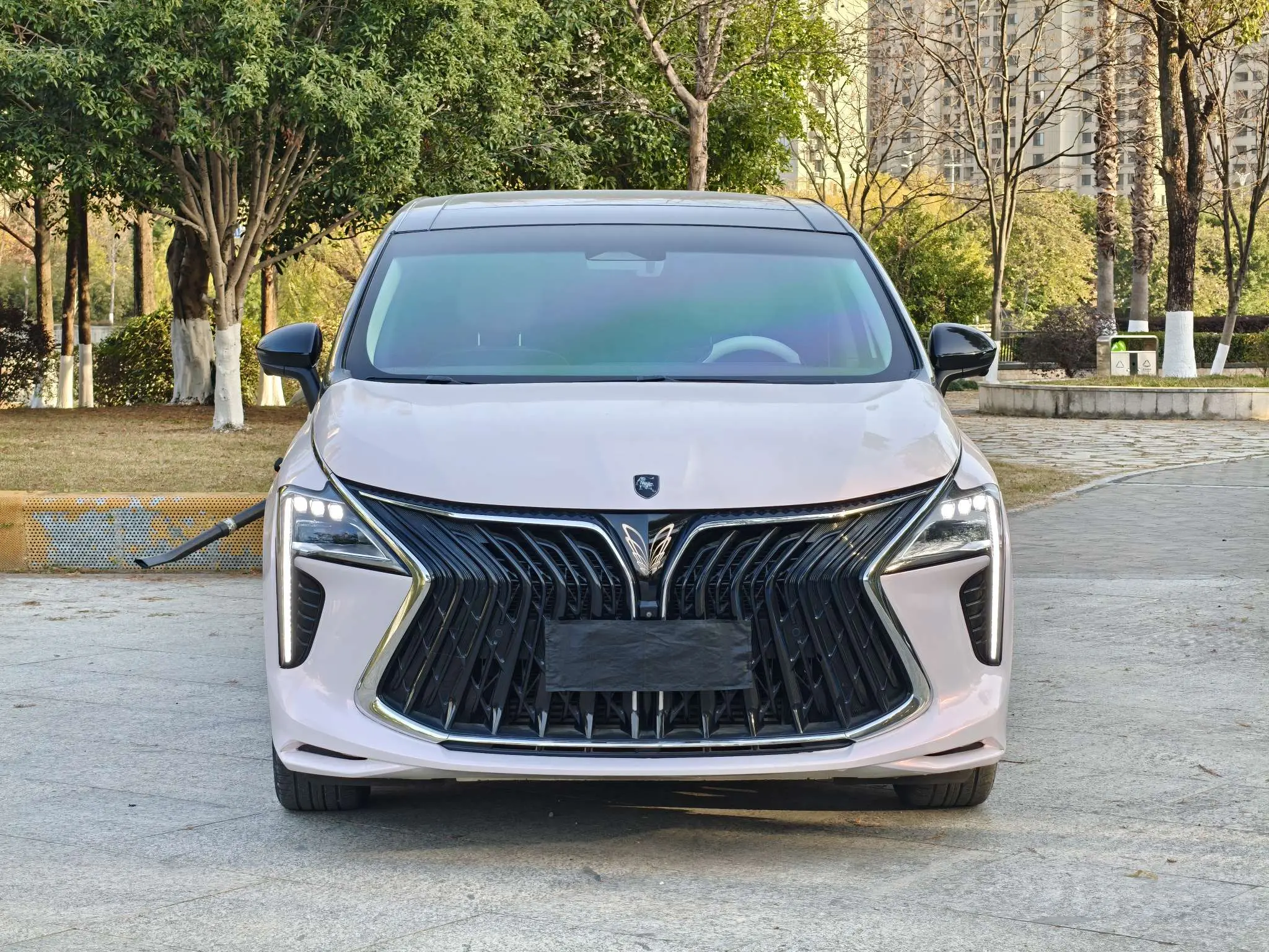 Forthing Popular yacht  из Китая