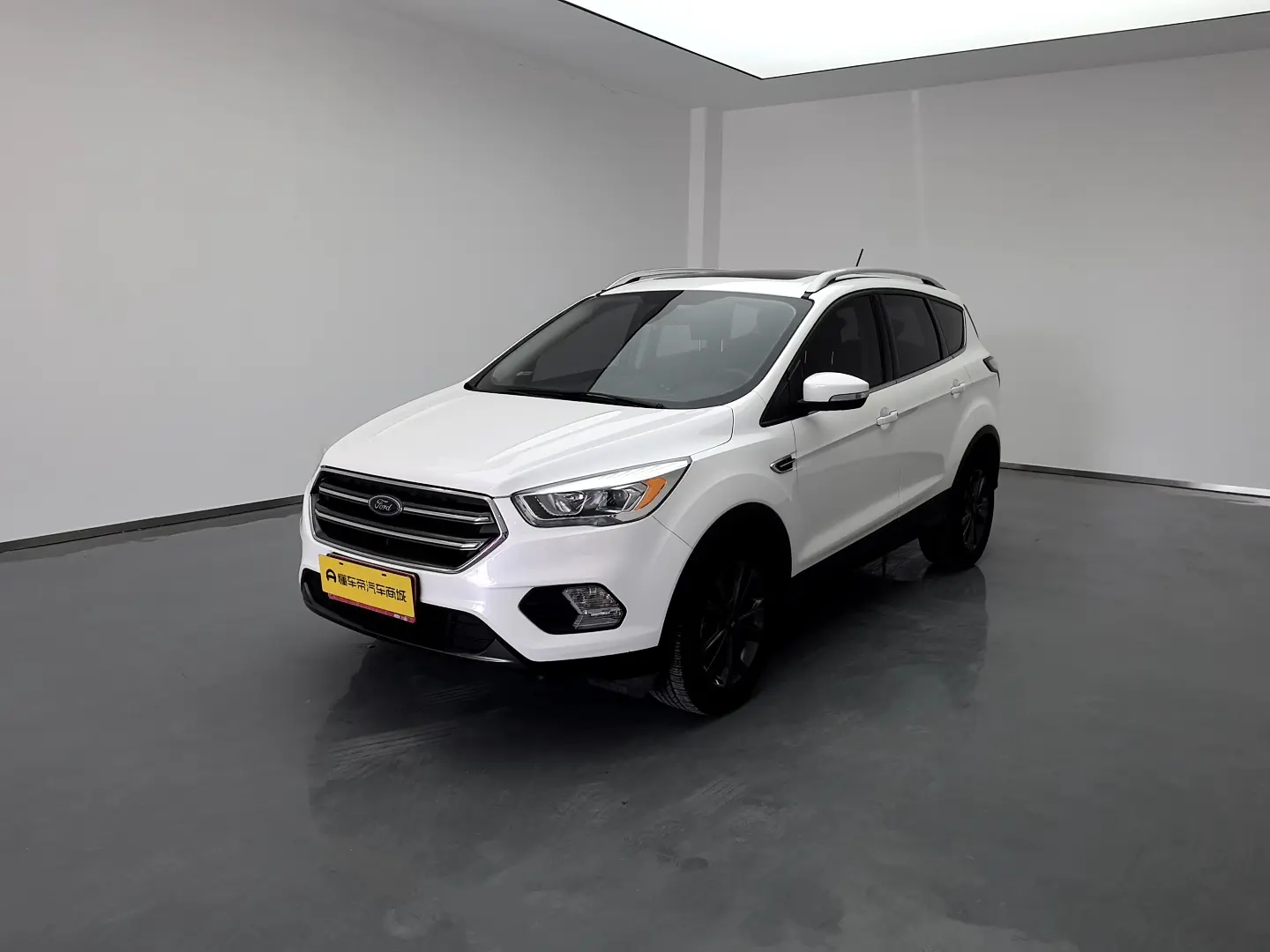 Ford Wing tiger  из Китая