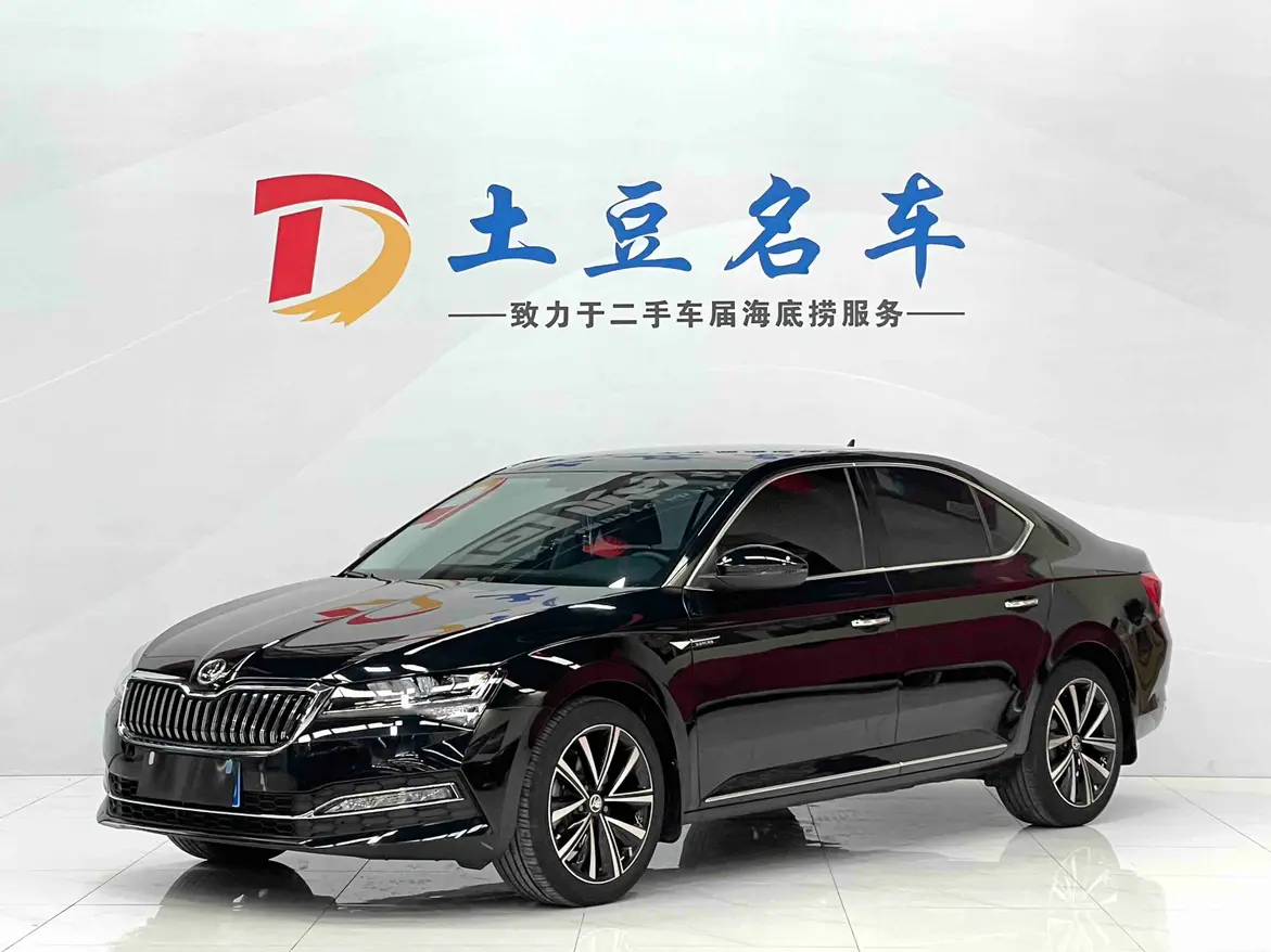 Skoda Speedy  из Китая