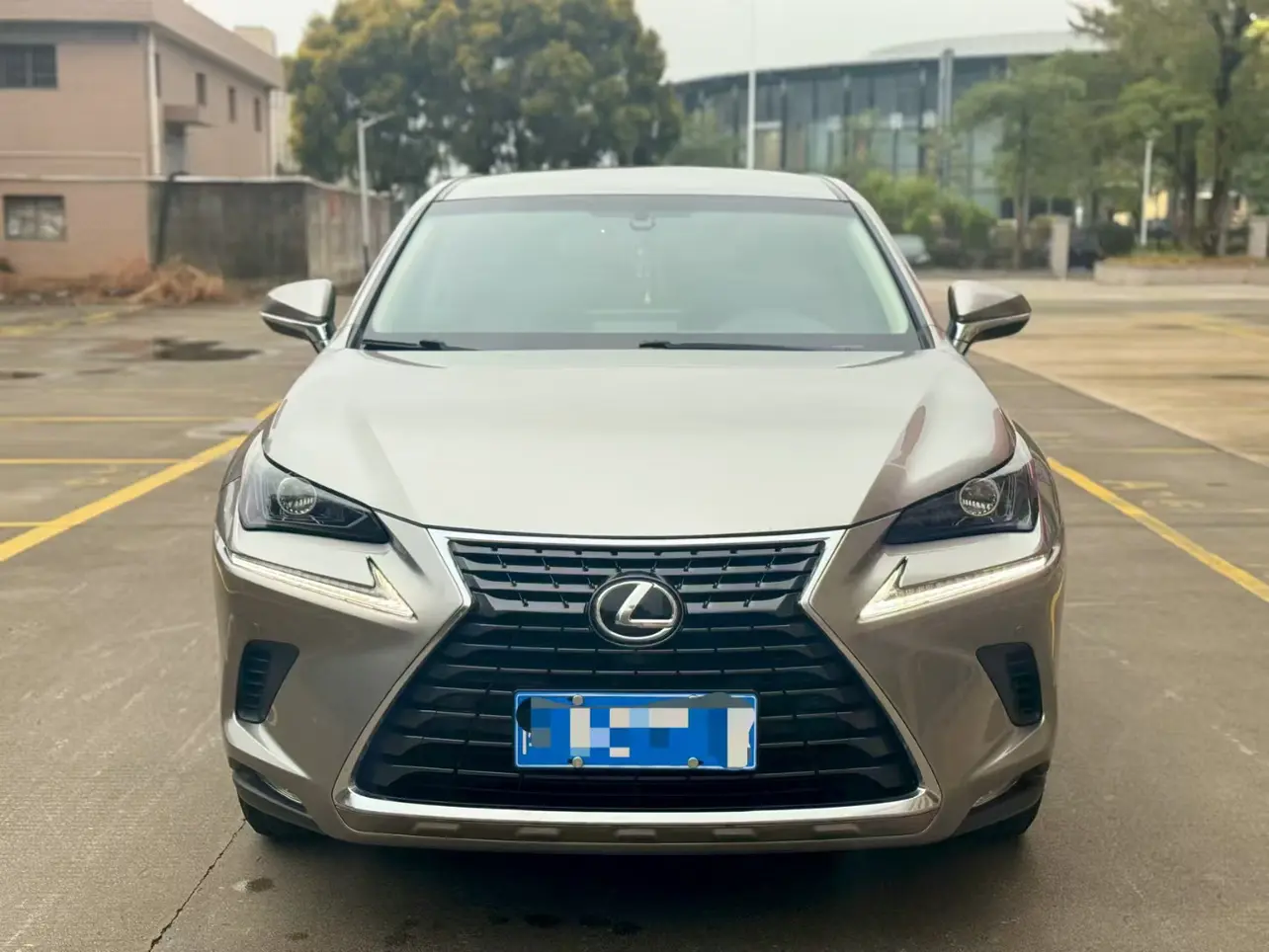 Lexus NX  из Китая