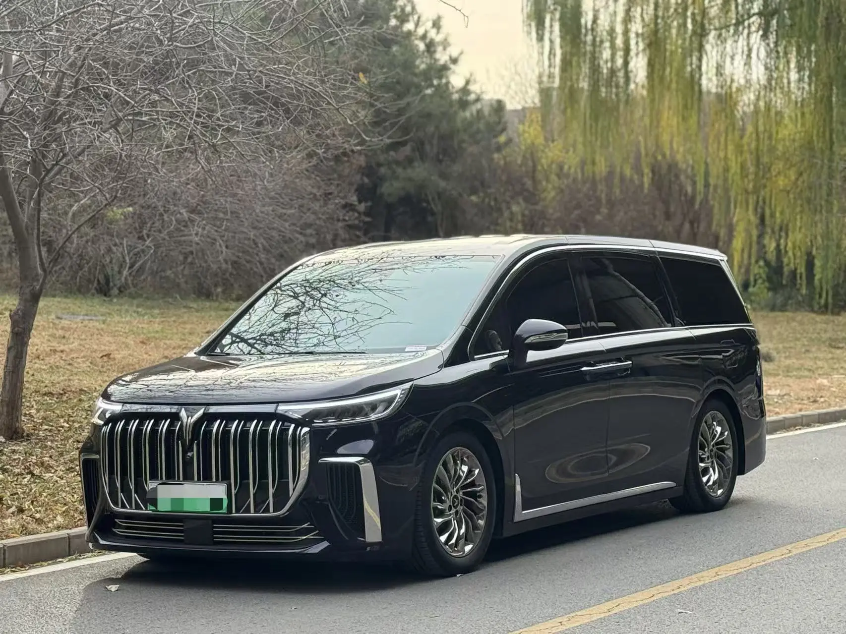 Voyah Lantu Dreamer PHEV  из Китая