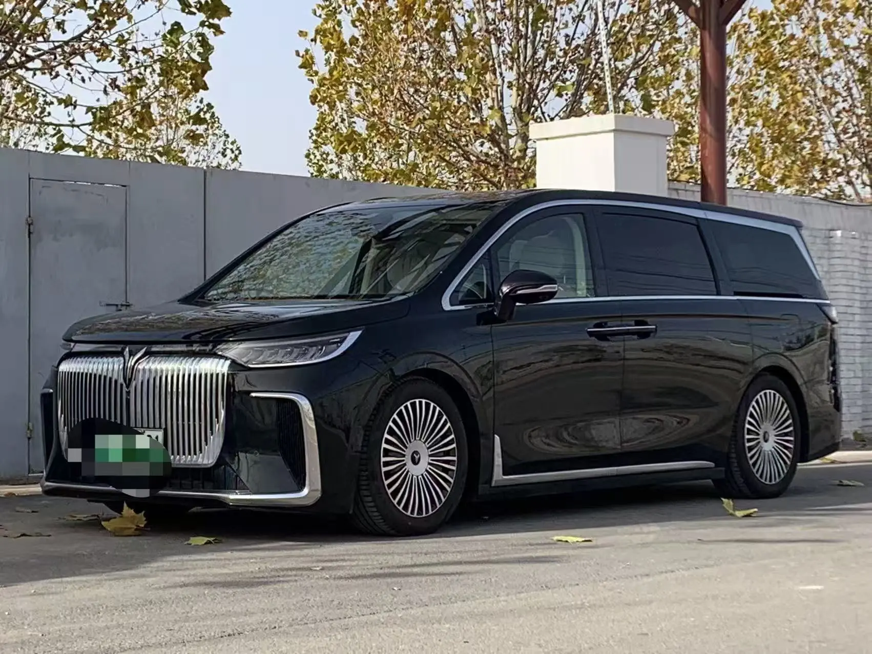 Voyah Lantu Dreamer PHEV  из Китая