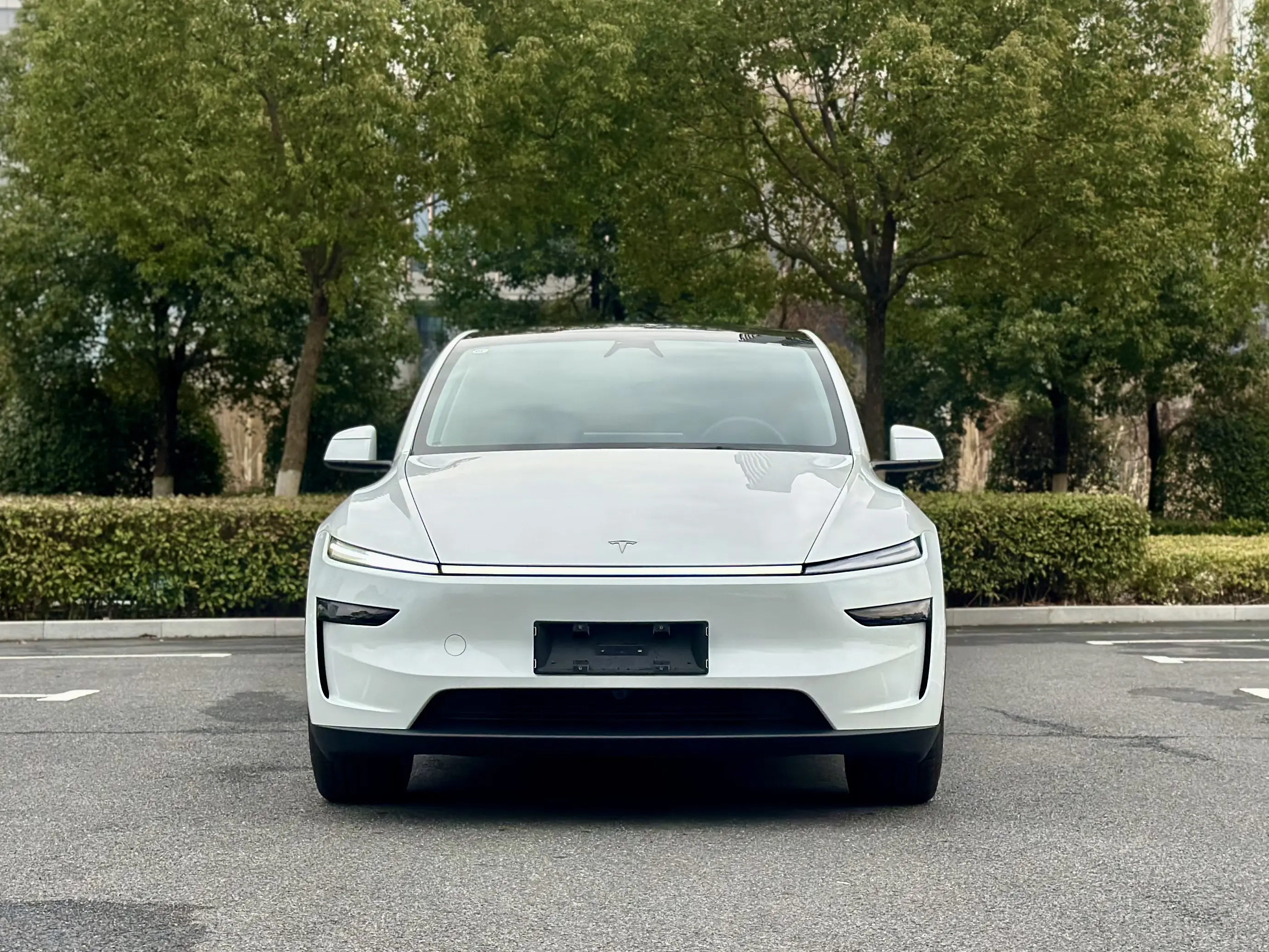 Tesla Model Y  из Китая