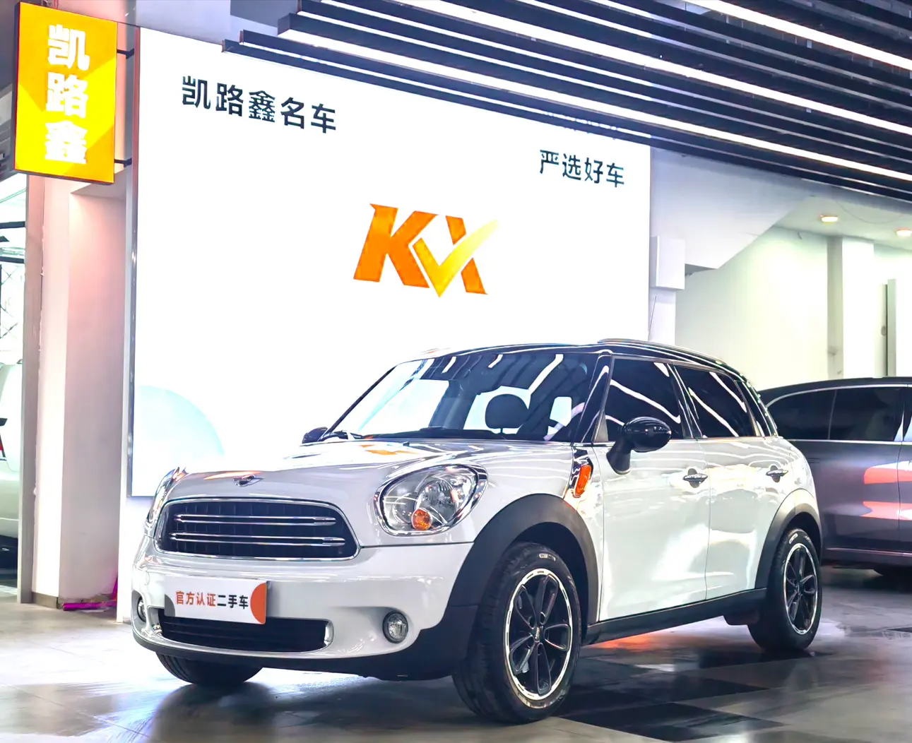 MINI COUNTRYMAN  из Китая