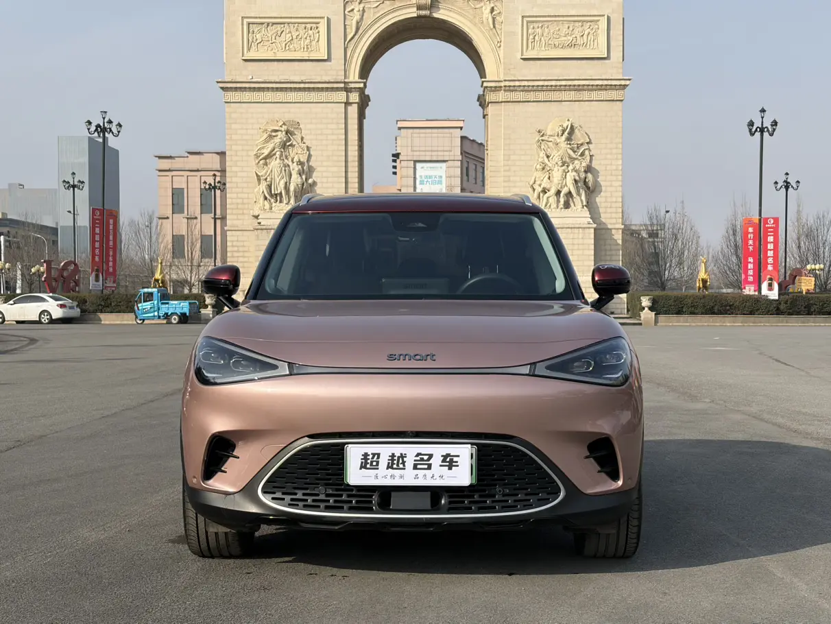 Smart elf #1  из Китая